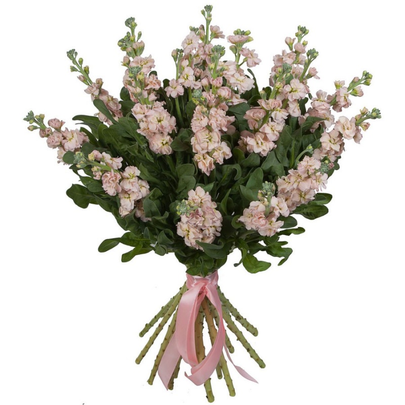 фото Букет "Обаяние" 