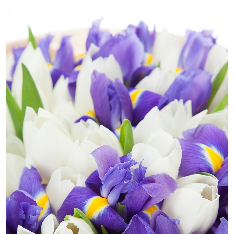 фото Букет "Море" 