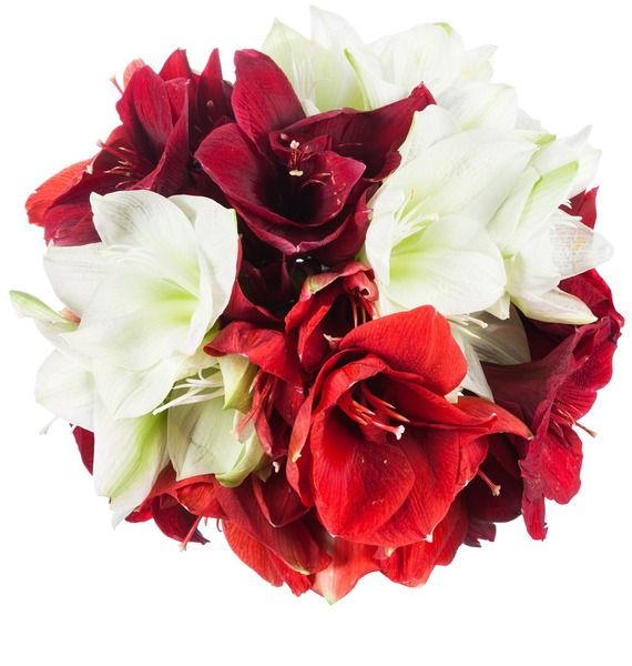 фото Букет "Искусство классики" 