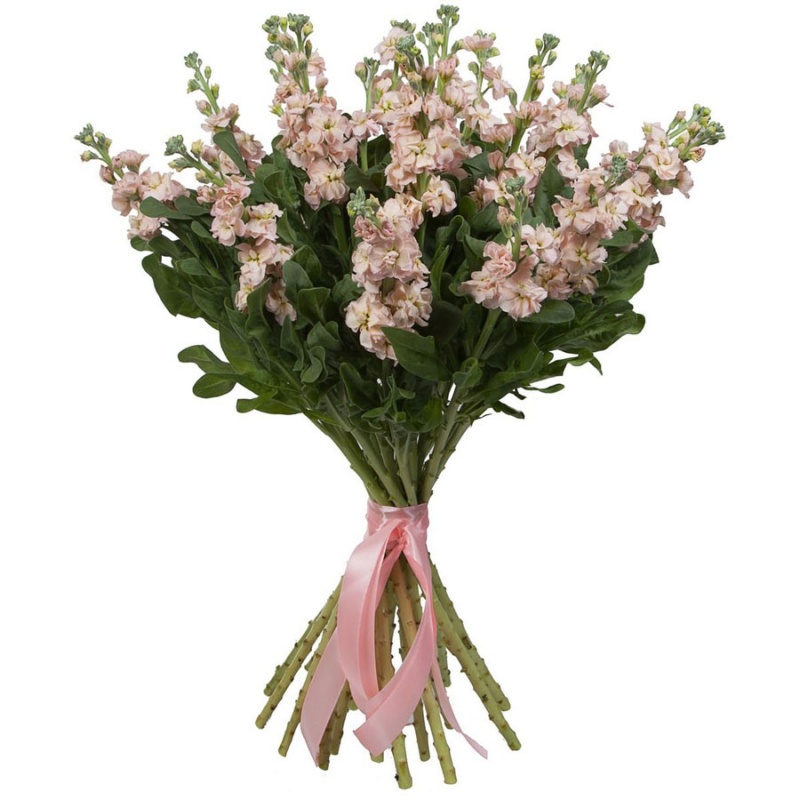 фото Букет "Обаяние" 